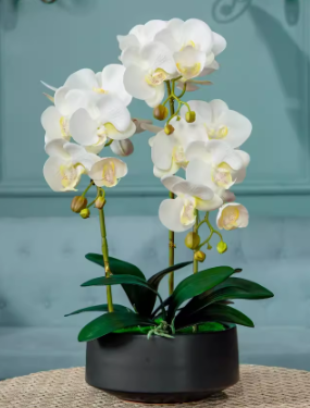 artificial orchid 1A